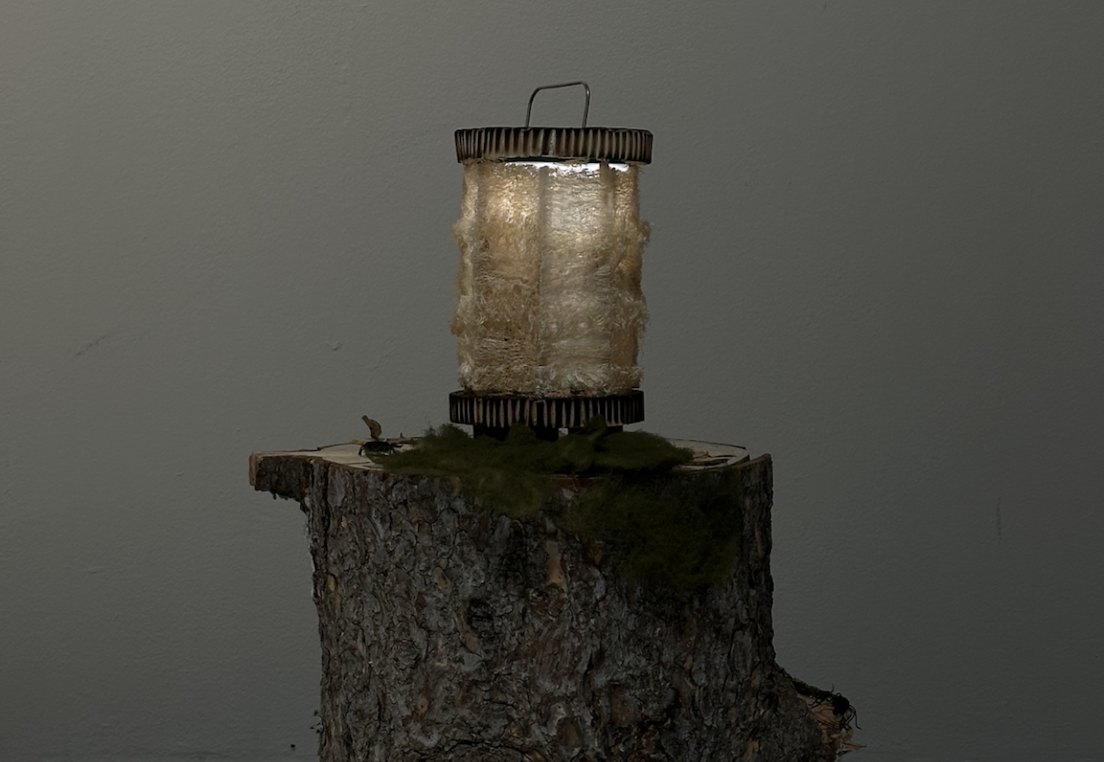 Insect Lamp