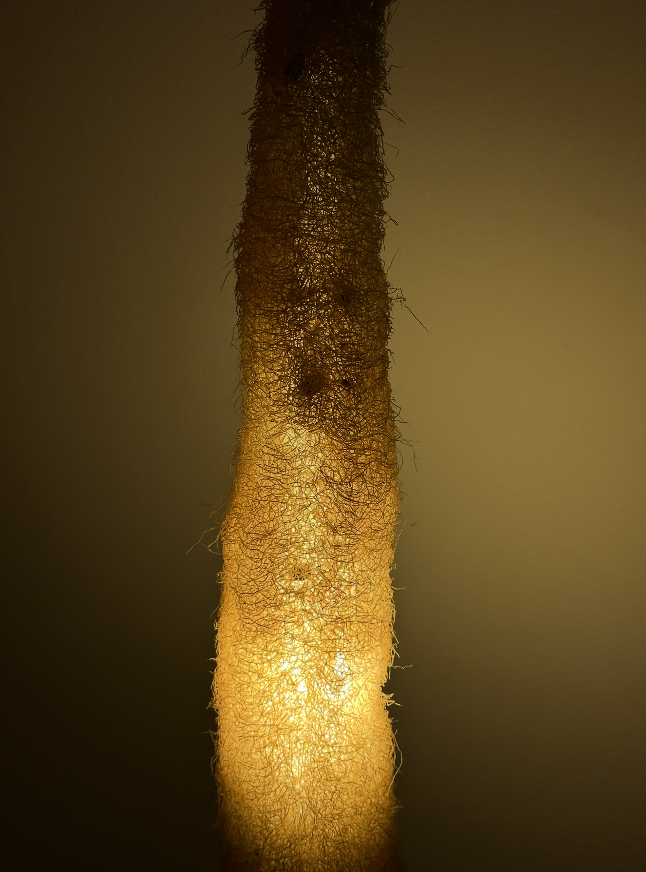 Loofah Lamp