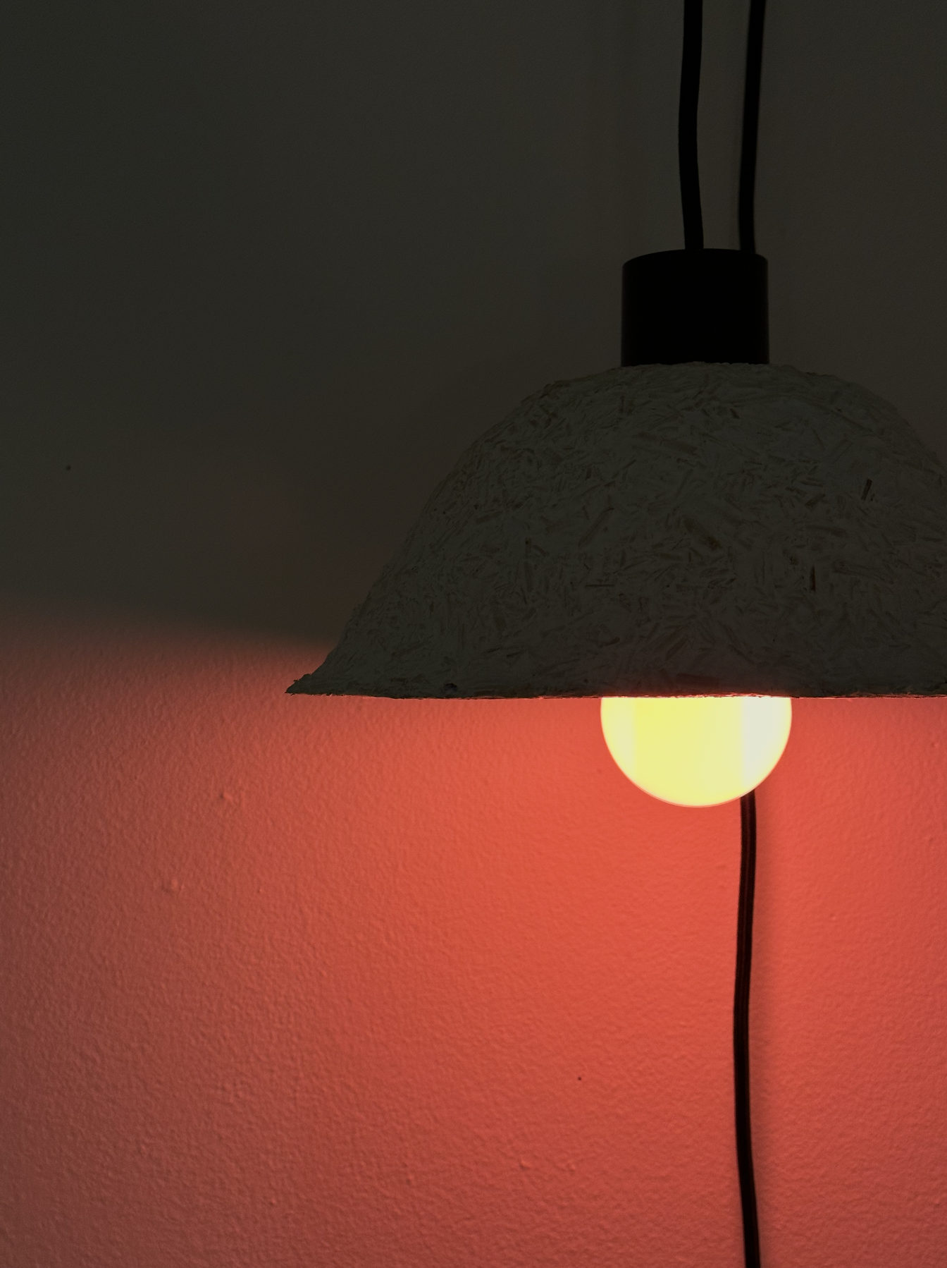 Mycelium Lamp